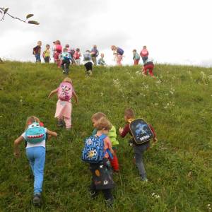 mali-soncek\1_4768_original